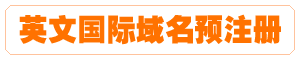 英文国际域名预注册