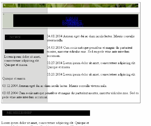 在Netscape4.7中的错误情况